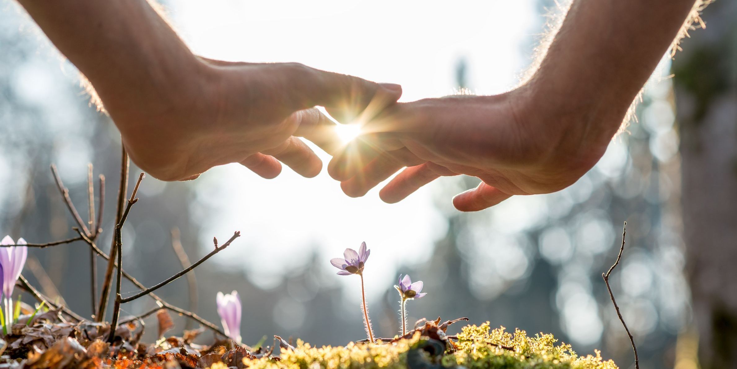 Natur bewahren (Foto: Gajus/stock.adobe.com) Helfen Sie mit einer Testamentsspende die Natur zu bewahren.