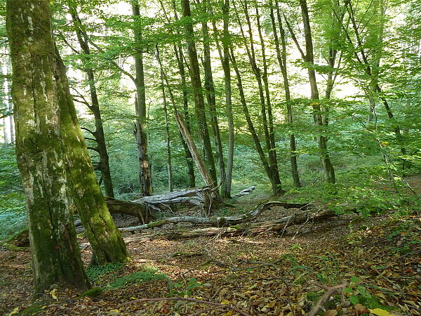 Hafenlohrtal (Winfried Berner)